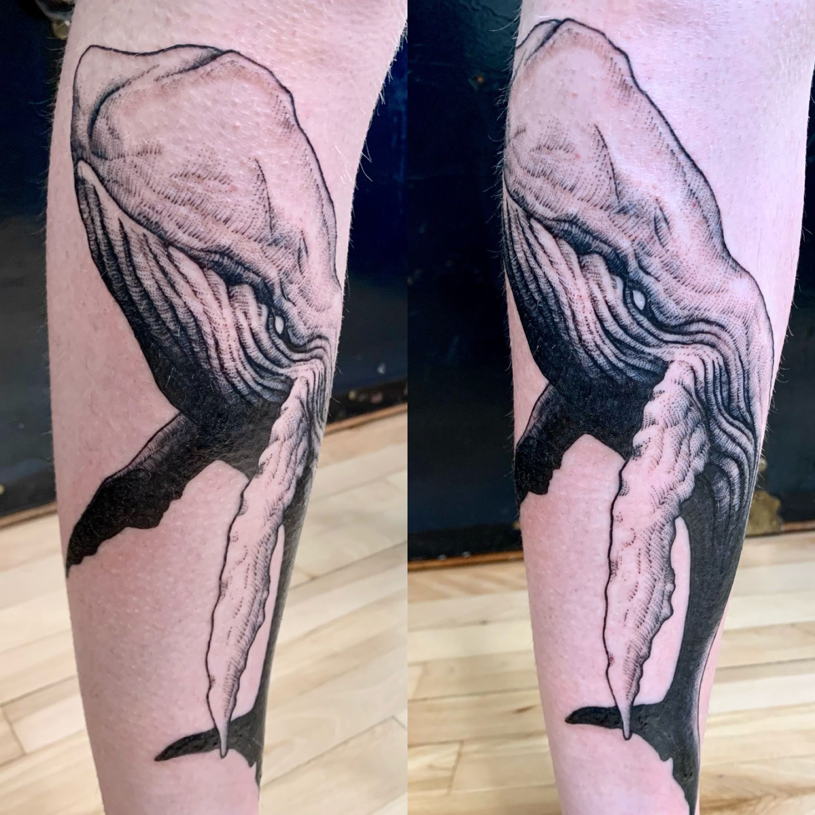 Update 71+ beluga whale tattoo in.eteachers