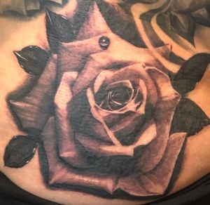 Rose done I’m about 3 hours