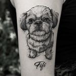 #dog #tattoo #lodz #tatuażłódź #blackwork #blackworker #darkart #darkartists #blacktattoo #illustrativetattoo #tttism #blackworkers #tattoolife #linework #blxckink #onlythedarkest #polandtattoos #thedarkestwork #blackworkershero #blkttt
