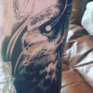 #owl #wildlife #animal #creepy #sleeve #ink #inked #inkedlife #inkedmen #tattoo #relismtattoo #besttattoo #blackouttattoo #blacktattoo #blacktattooart #tattoos #blackandgreytattoos