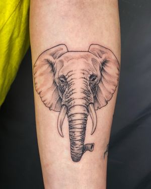 Elephant #tattoo #blackwork #blackworktattoo #elephanttattoo #animaltattoo #forearmtattoo #seoultattoo 