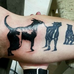 #tattooart #dogtattoo #pitbull #tattoo