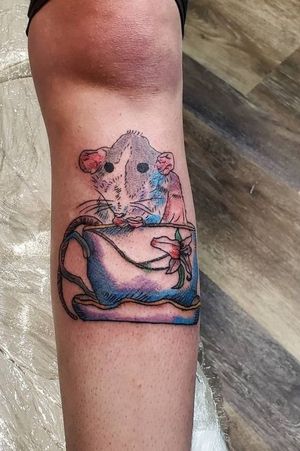 Rat in a teacup