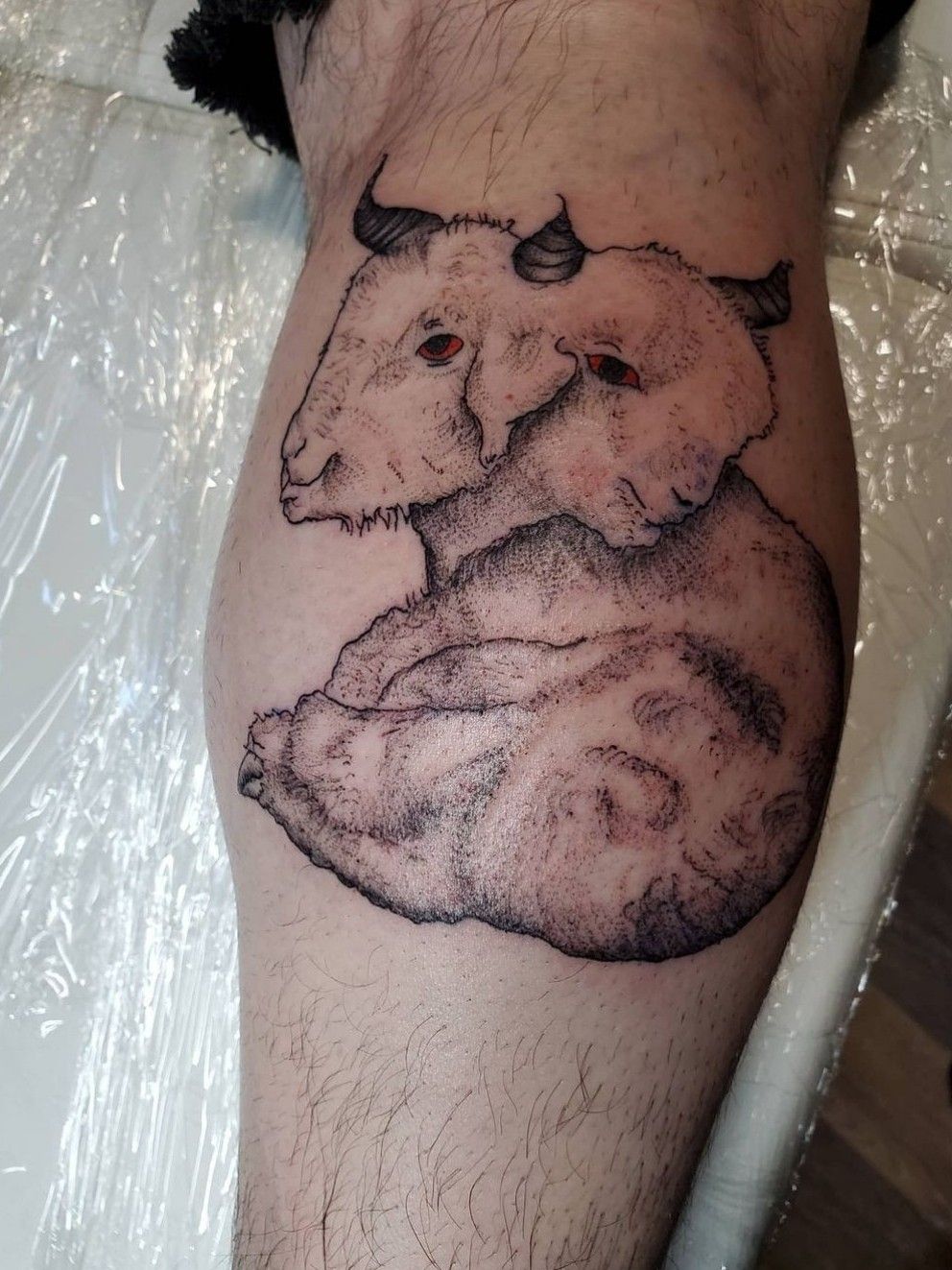  sophie  on Instagram twice as many stars in the sky heartbreaking  n sweet two headed calf tattoo made yesterday for pearl thanks for the  trust   made at