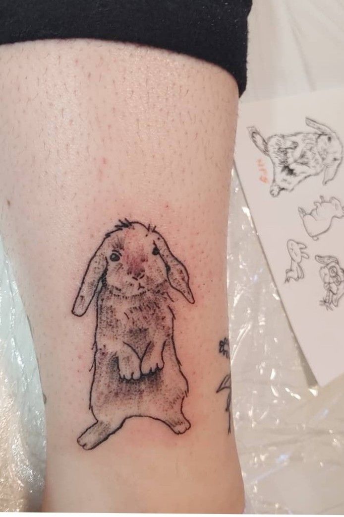  on Twitter bunny tattoo httpstco3lqyyqR8Zz  Twitter