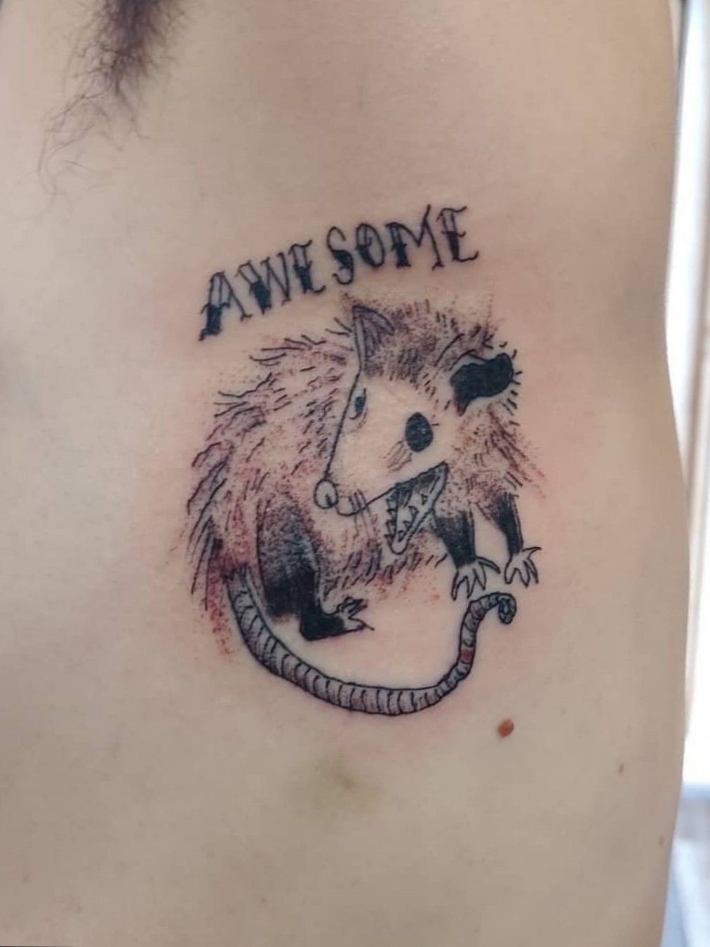Happy Opossum by Brad Burkhart at Fianna in Portland ME  Opossum tattoo  Tattoos Cute animal tattoos