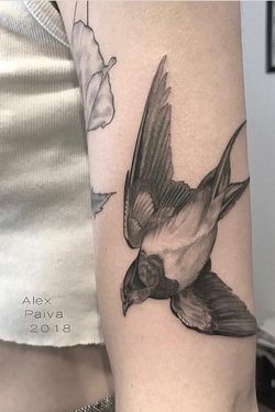 Tattoodo • Find Your Next Tattoo