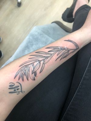 olive branch done at bee tattoo studio in queens