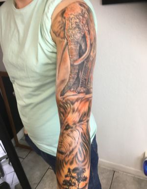 African sleeve elephant and lion 