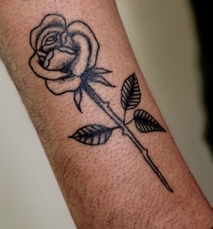 Single needle rose 