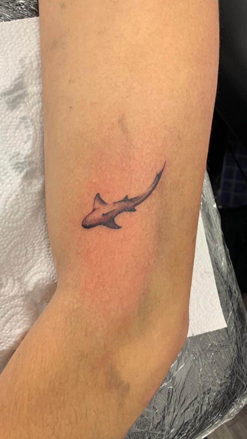 90 Shark Tattoo Designs For Men  Underwater Food Chain  Shark tattoos  Tattoo designs men Tattoo designs