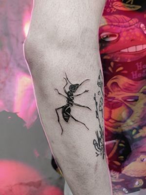 Mrówka#mrówka #mrówkatattoo #tattoo #anttattoo