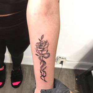 Snake and rose, 