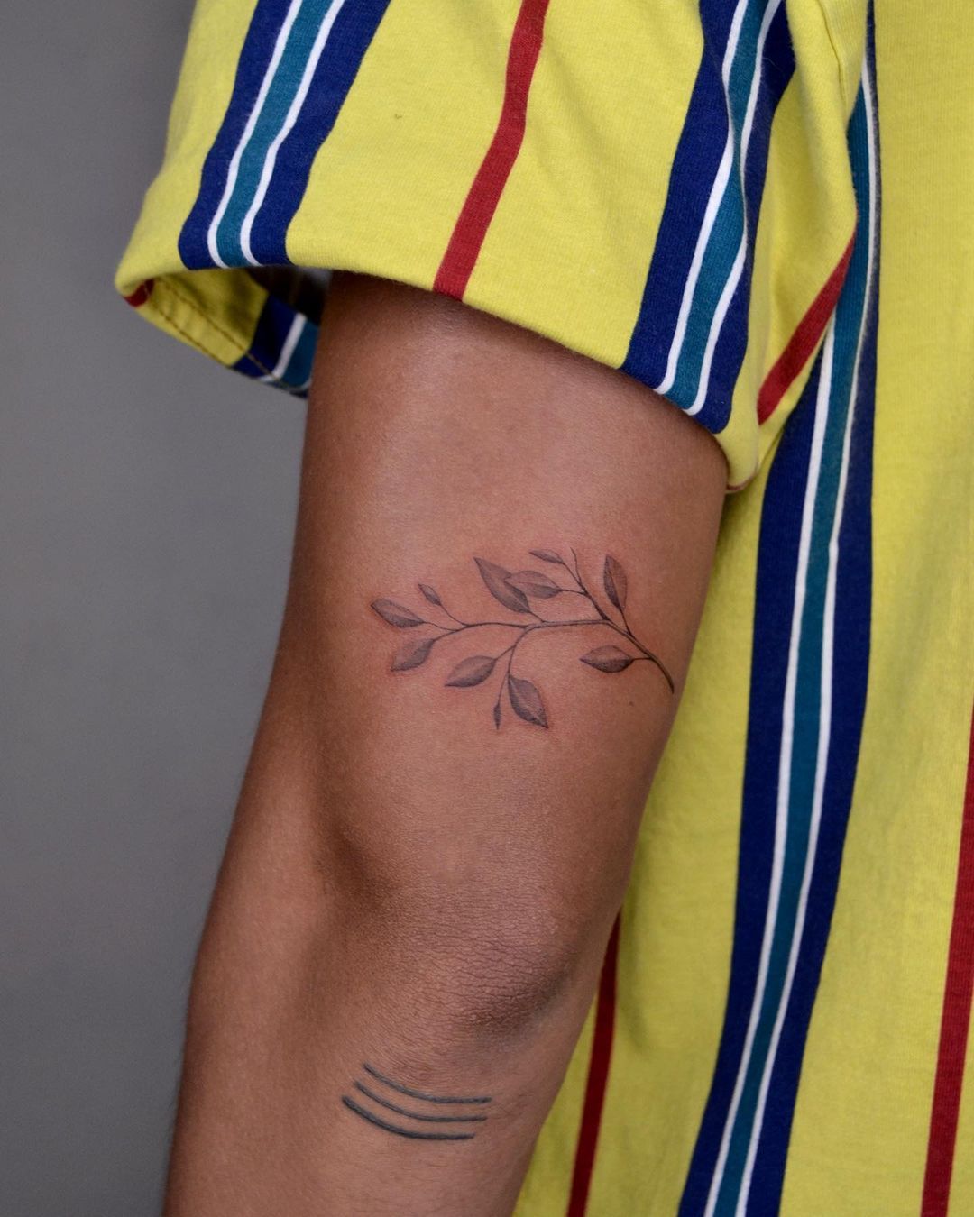 My new tattoo | Birch tree branches | Erin Duffey | Flickr