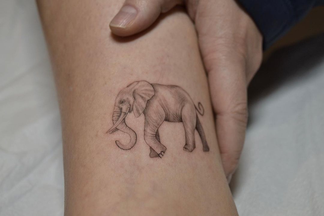 Minimal Elephant Tattoo done by Yogesh Karmawat at Circle Tattoo India :  u/circletattooindia