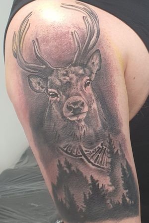 Epic Stag for the Fraser Clan with it being part of my DNA First Tattoo and hurt like fuck#stag #forest #dna #firsttattoo #upperarm
