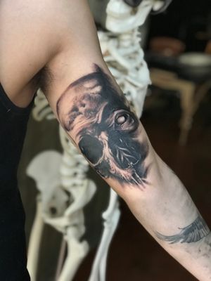 Custom skull I tattooed based of an original oil painting of mine. I’m going to want to go back into it once it’s  healed and tighten up some spots.