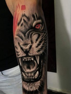 Espalda de tigre y calavera 🐯💀 #tattoo #tattooideas #tattoos #tattoomodel  #tattooart #tattooartist #ink #inktattoo #tattoodesign #