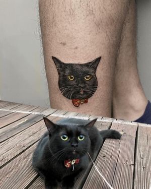 黑貓black cat