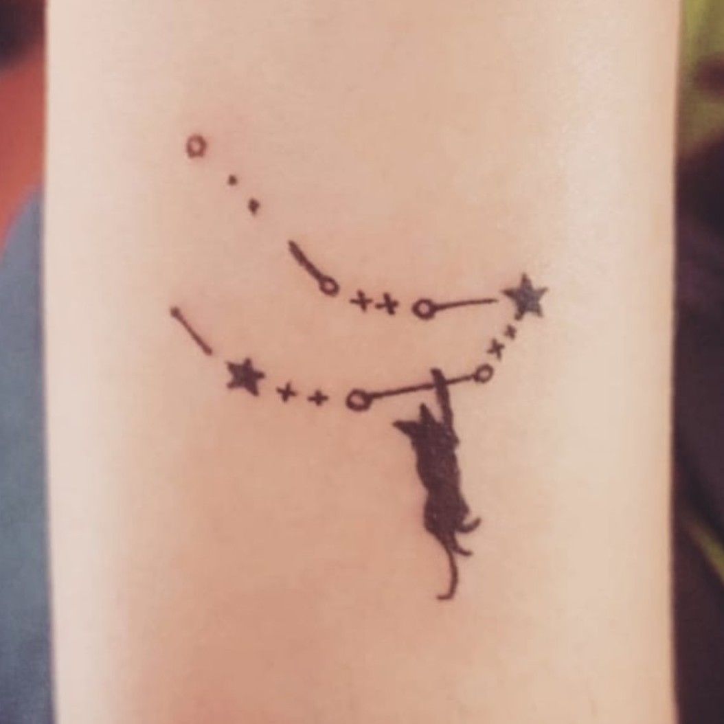 Canis Major  Constellation tattoos Constellations Dog horoscope