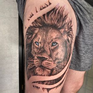 Realism lion tattoo