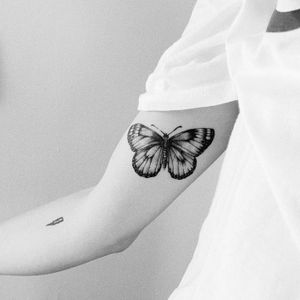 #butterfly #butterflytattoo #dotwork #dotworktattoo #tattooart #dots #girlswithtattoo #inkedgirls #blackboldsociety #blxckink #oldlines #tattoosandflash #darkartists #topclasstattooing #inked #inkedgirls #inkedup #minimal #minimalism #stattoo #smalltattoo