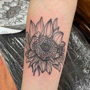 Black & gray sunflower 