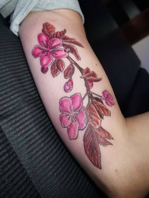 Cherry blossoms in Illustrative technique, really enjoyed working this piece.
