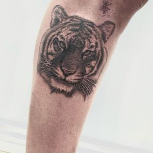 Get a stunning black and gray tiger tattoo on your lower leg in the artistic city of Los Angeles. Stand out with this fierce and detailed design.