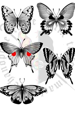 Motylki 🦋