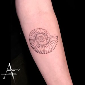 🐚 . For custom designs and booking; alperfiratli@gmail.com . . . . . #seashells #seashelltattoo #fossil #seatattoo #oceantattoo #seacreaturetattoo #geometrictattoo #fossils #ammonite #tattooartist #tattooidea #tattooideas #biology #ammonites #surrealism #abstracttattoo #shell #shelltattoo #abstractart #surrealtattoo #surrealart #floraltattoos #conchshell #watercolor #floraltattoo #science #psychedelic #scientificart #cattattoo #biologist 