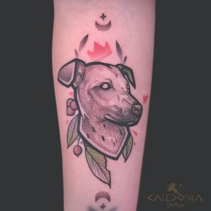 “[Señor Moose]”A big thanks to Paola for letting me create a tattoo of her wonderful dog “Señor Moose”!For any tattoo enquiry, custom project or flash please contact me directly on my website:www.caledoniatattoo.com#caledoniatattoo #tttism #blackworkers_tattoo #taot #eternalinkscolors #colourtattoo #colourtattoos #tatuaż #cheyennehawk #cheyenne_tattooequipment #tattoodelicada #vancouvertattoos #vancouverartist #contemporarytattooing