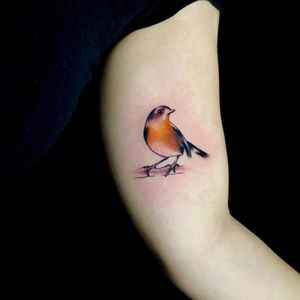 Experience the artistry of Sandro Secchin with this stunning, lifelike bird tattoo that blends realism and watercolor styles on your upper arm.