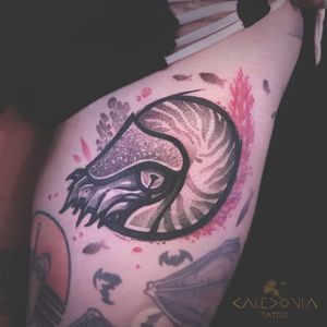 “Nautilus” Find me in Vancouver.🇨🇦 For any tattoo enquiry, custom project or flash please contact me directly on my website: www.caledoniatattoo.com #contemporarytattoo #inkstinctsubmission #tttpublishing #tattrx #flashworkers #equilattera #blacktattoomag #ttblackink #iblackwork #radtattoos #tbsta #bcnttt