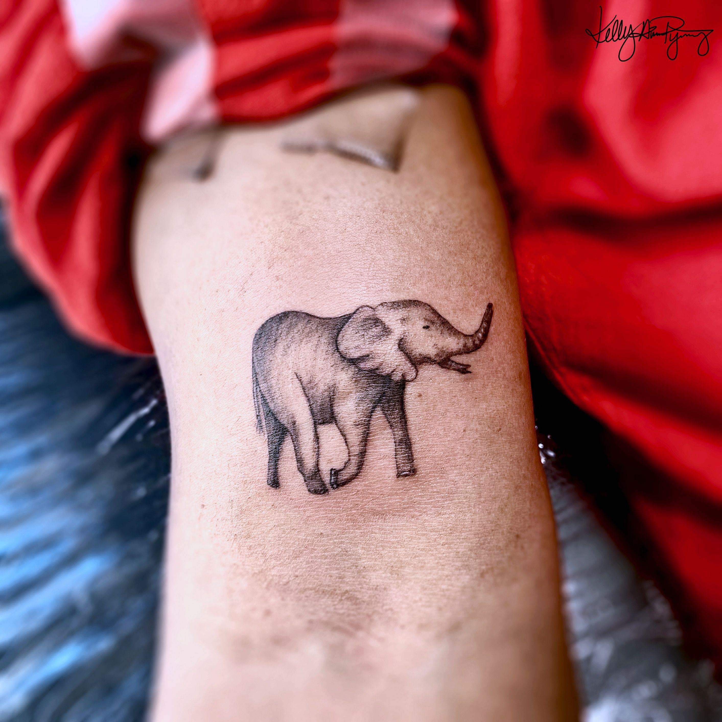 30+ Adorable Tiny Elephant Tattoos | Spiritus Tattoo | Elephant tattoos, Elephant  tattoo design, Tiny elephant tattoo