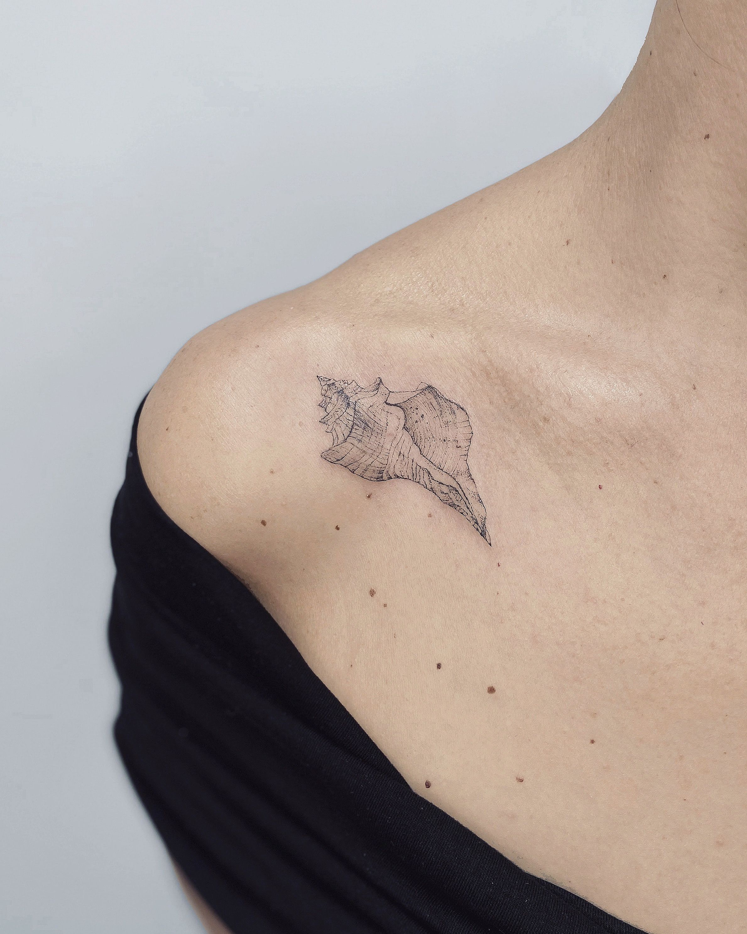 Tattoo uploaded by Débora • #shell #fineline #smalltattoo #brazil • Tattoodo