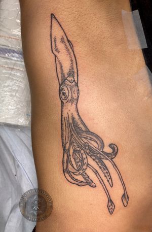 Squid squid Follow me on IG @tatulaz