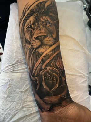 Lion is healed and rose is fresh 