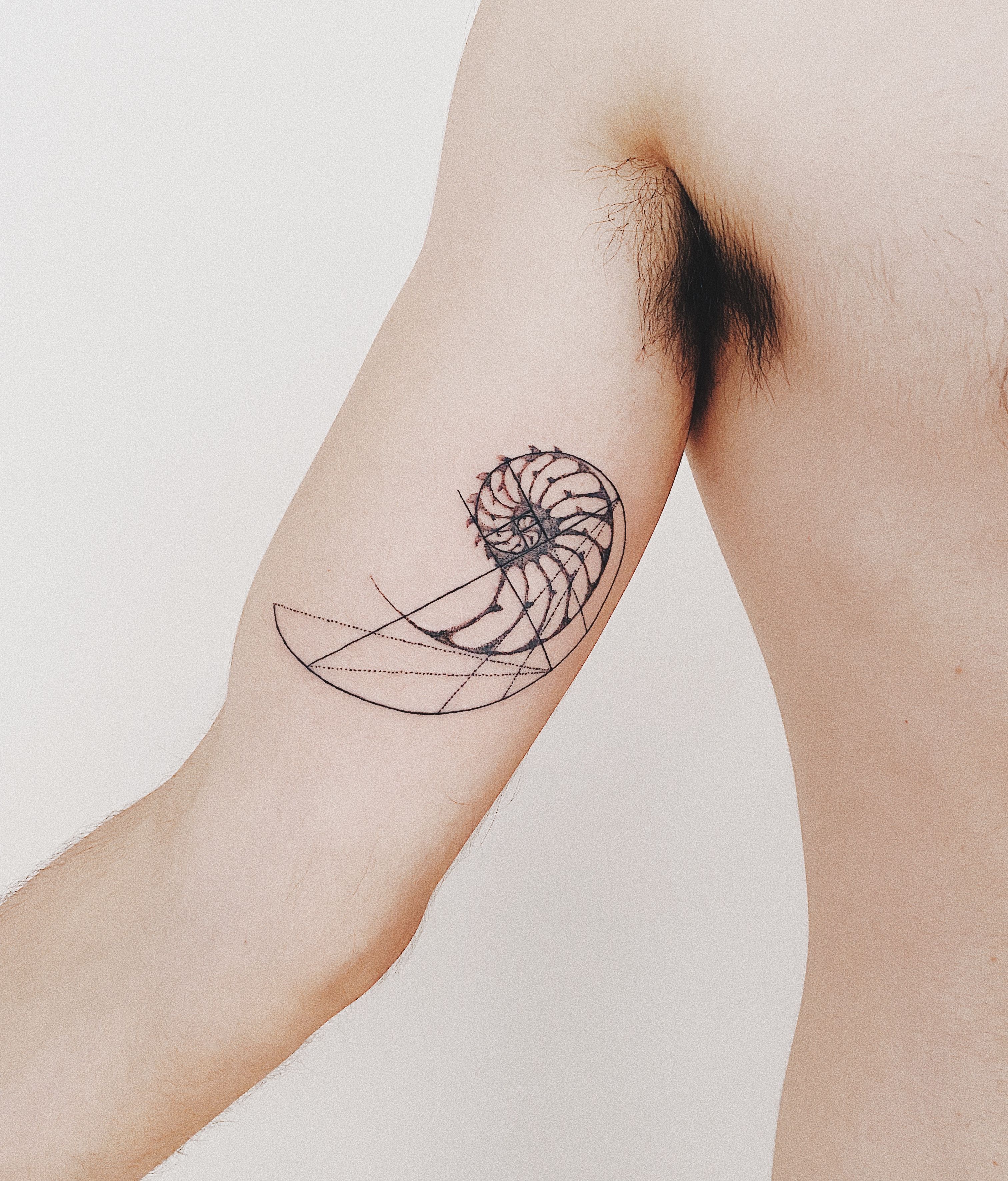 Golden Ratio spiral done by Andi Wywiorski (Black Atlas, Chicago IL) : r/ tattoos