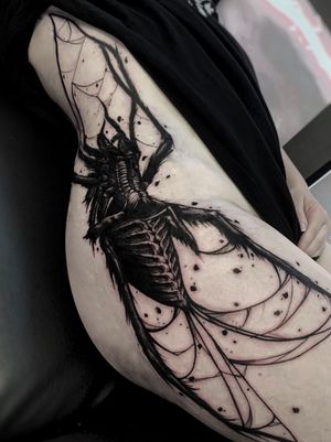 Creepy spider. First tattoo for a girl. One session.#spidertattoo#spider#darktattoo#creepytattoo#tattooideas#blacktattoo#cobwebtattoo#darkartist#darkest#blackandgraytattoo