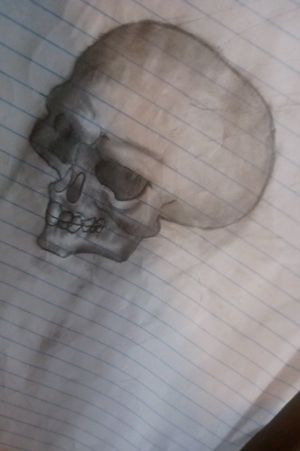 Random skull