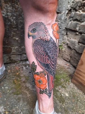 A fantastic Red Kite and Welsh poppies by Inma at Red Point Tattoo 
