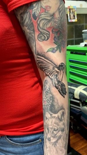 Video of hummingbird tattoo I did