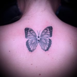 A small butterfly with a little shading. 