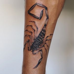 Shin scorpion