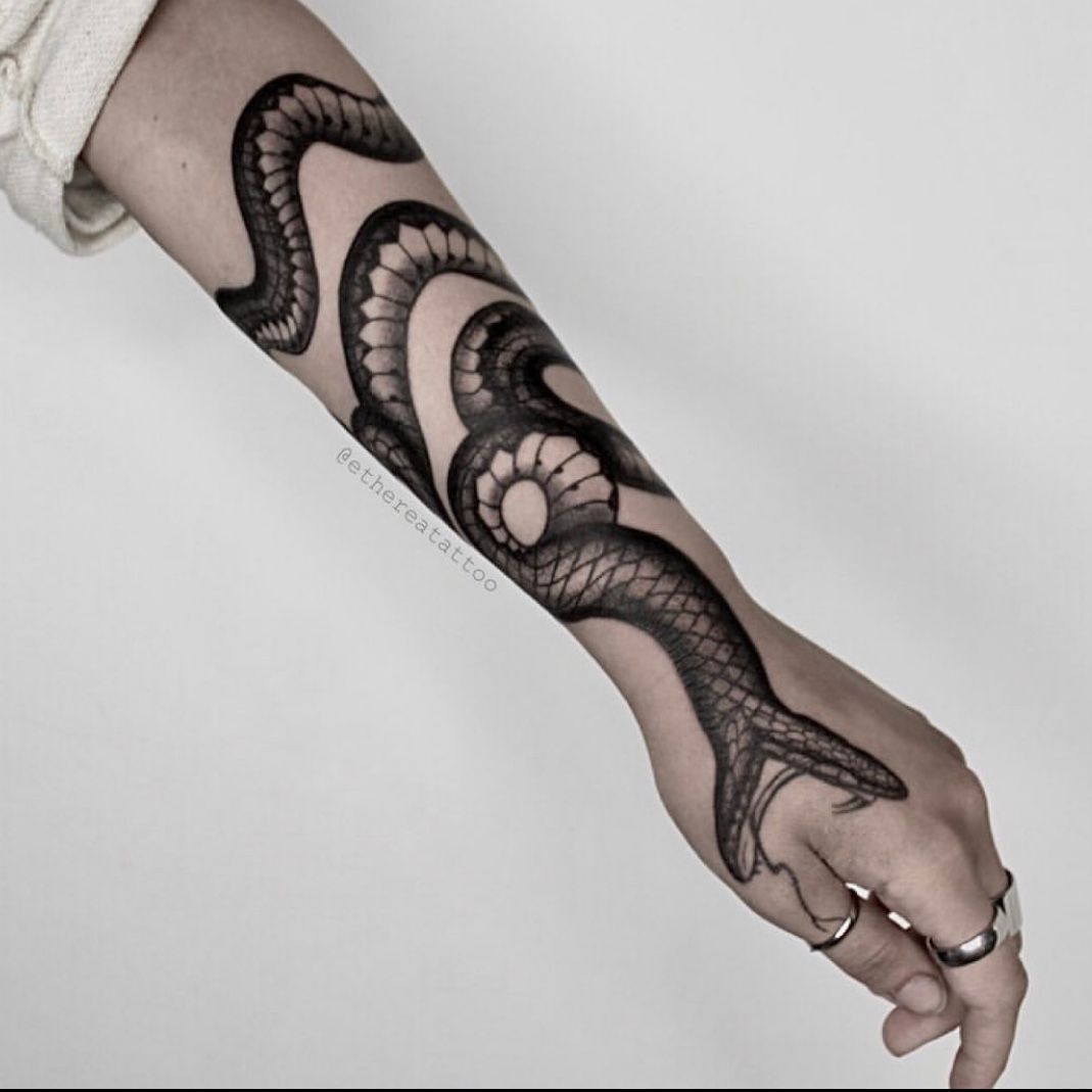Tattoo tagged with arm big animal chest snake facebook blackwork  twitter nissaco illustrative  inkedappcom