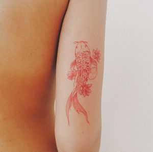 #koifishtattoo #koifish #redkoifish #erernalink #redtattoo #japanese #tattooart #fineline #linetattoowork #tattoolovers #stattoo #smalltattoo #minimaltattoo #inkedgirls #girlswithtattlo #blackboldsociety #blxckink #oldlines #tattoosandflash #darkartists #topclasstattooing 