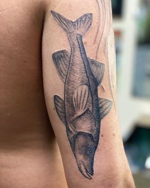 Snagged healed shot of snook