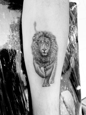 A lion. 