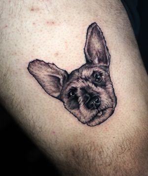 Get a stunning blackwork dog tattoo by the talented Miss Vampira for a bold and unique addition to your upper leg. Embrace the realism!